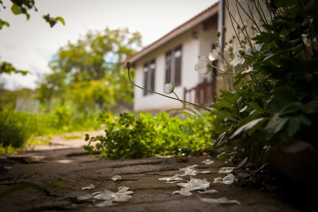 Mutafova Guest House Weliki Preslaw Exterior foto